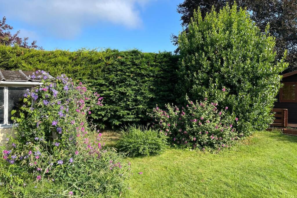 3 Bed Bungalow In Winchcombe, Cotswolds,Gloucester Eksteriør billede