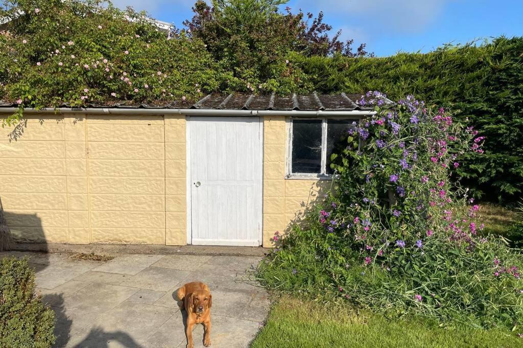 3 Bed Bungalow In Winchcombe, Cotswolds,Gloucester Eksteriør billede
